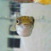 かっちゃん
