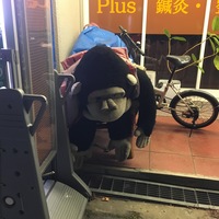 大文字かっち