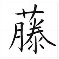 藤