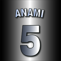 5.ANAMI