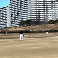 タワくん