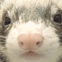 メンバー写真