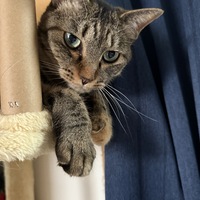 メンバー写真