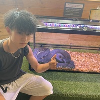 メンバー写真