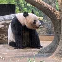 メンバー写真