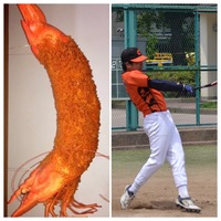 メンバー写真