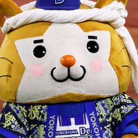 メンバー写真