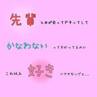 メンバー写真