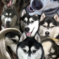 メンバー写真