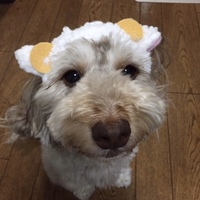 メンバー写真