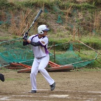 平野