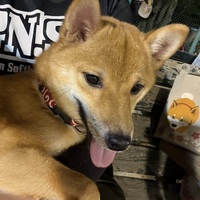 メンバー写真