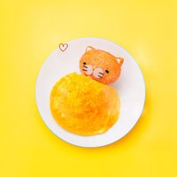 メンバー写真
