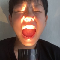 メンバー写真
