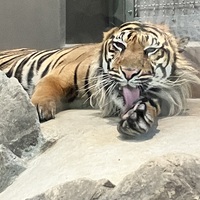 メンバー写真